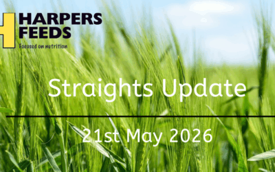 Straights Update 21st May 2026
