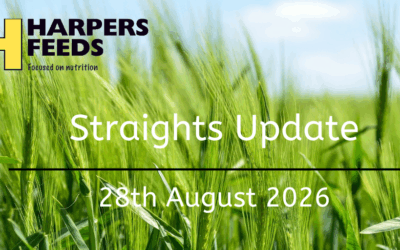 Straights Update 28th August 2026